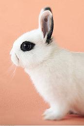 Steam新一周销量榜 《CS：GO》激流大行动登顶